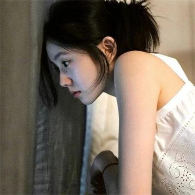 动物频道